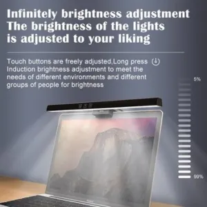 Computer Screen Clip Light