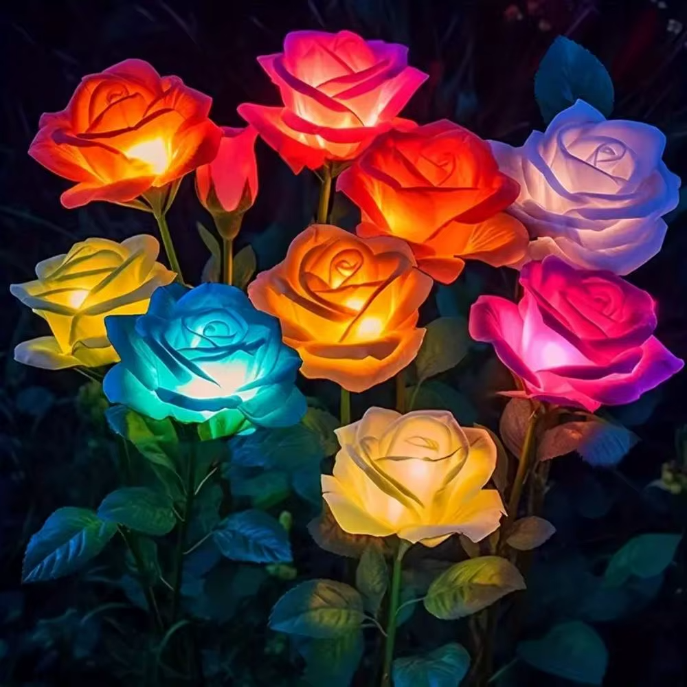 Close-up of multi-colored solar rose lights glowing in the dark
